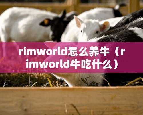 rimworld怎么养牛（rimworld牛吃什么）