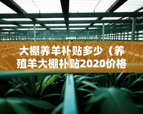 大棚养羊补贴多少（养殖羊大棚补贴2020价格表）