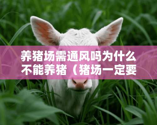 养猪场需通风吗为什么不能养猪（猪场一定要封闭才能养吗）