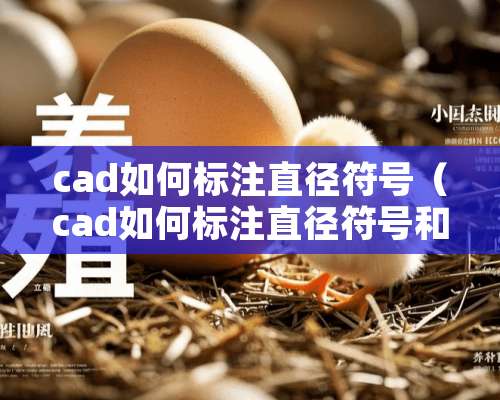 cad如何标注直径符号（cad如何标注直径符号和尺寸）