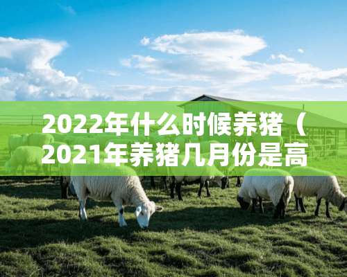 2022年什么时候养猪（2021年养猪几月份是高点）