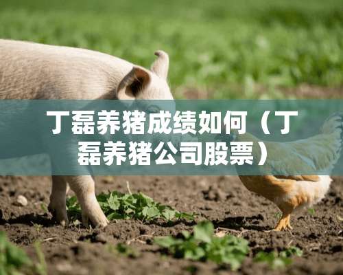 丁磊养猪成绩如何（丁磊养猪公司股票）