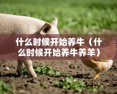 什么时候开始养牛（什么时候开始养牛养羊）