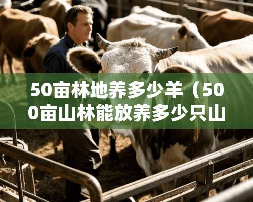 50亩林地养多少羊（500亩山林能放养多少只山羊）