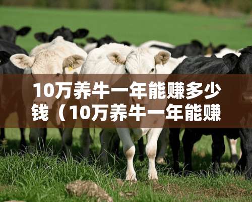 10万养牛一年能赚多少钱（10万养牛一年能赚多少钱人民币）