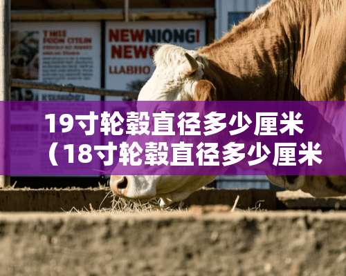 19寸轮毂直径多少厘米（18寸轮毂直径多少厘米）