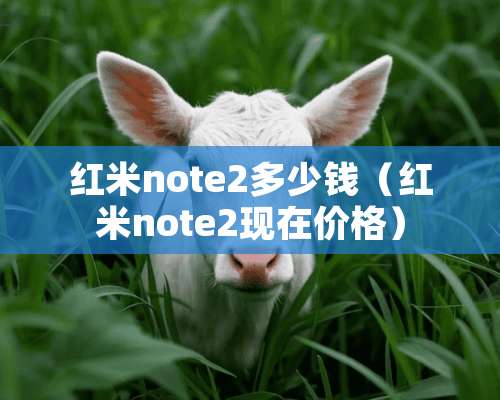 红米note2多少钱（红米note2现在价格）