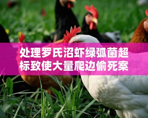 处理罗氏沼虾绿弧菌超标致使大量爬边偷死案例