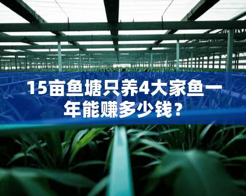 15亩鱼塘只养4大家鱼一年能赚多少钱？