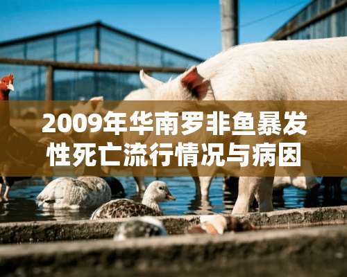 2009年华南罗非鱼暴发性死亡流行情况与病因分析