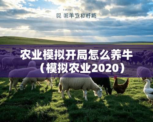 农业模拟开局怎么养牛（模拟农业2020）