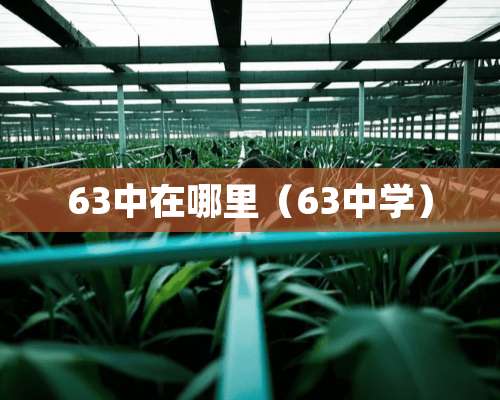 63中在哪里（63中学）