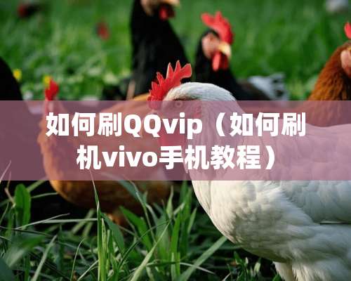 如何刷QQvip（如何刷机vivo手机教程）