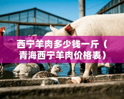 西宁羊肉多少钱一斤（青海西宁羊肉价格表）