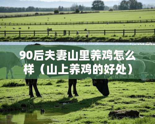 90后夫妻山里养鸡怎么样（山上养鸡的好处）