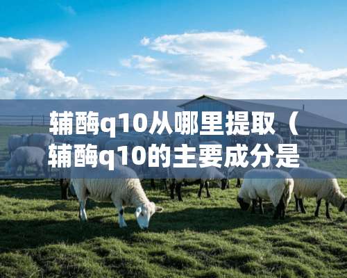 辅酶q10从哪里提取（辅酶q10的主要成分是什么）