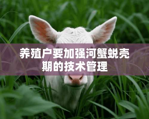 养殖户要加强河蟹蜕壳期的技术管理