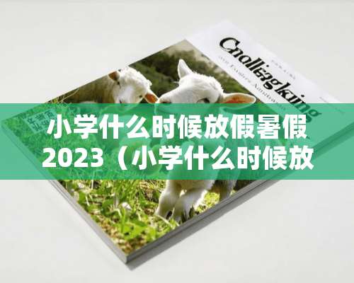 小学什么时候放假暑假2023（小学什么时候放假暑假2023广东）