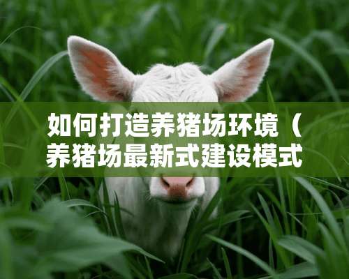 如何打造养猪场环境（养猪场最新式建设模式）