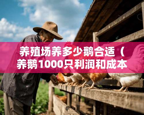 养殖场养多少鹅合适（养鹅1000只利润和成本需要多大场地）