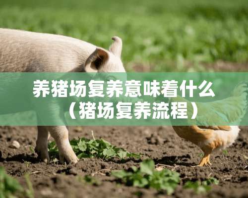 养猪场复养意味着什么（猪场复养流程）