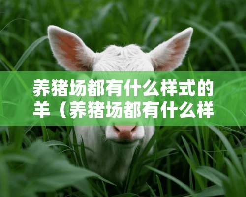 养猪场都有什么样式的羊（养猪场都有什么样式的羊群）