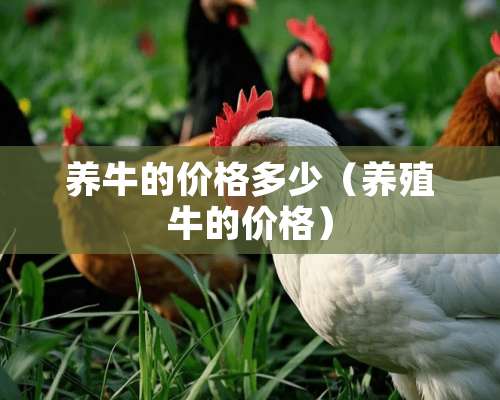 养牛的价格多少（养殖牛的价格）