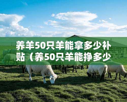 养羊50只羊能拿多少补贴（养50只羊能挣多少钱）