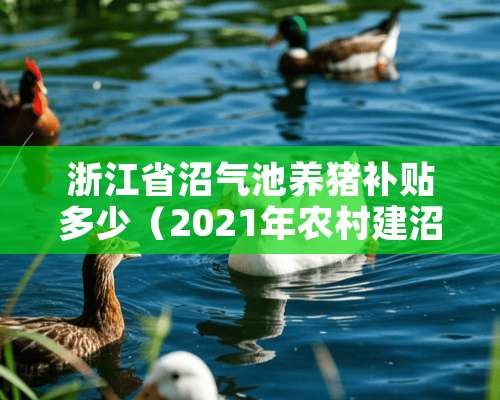 浙江省沼气池养猪补贴多少（2021年农村建沼气池国家补贴）