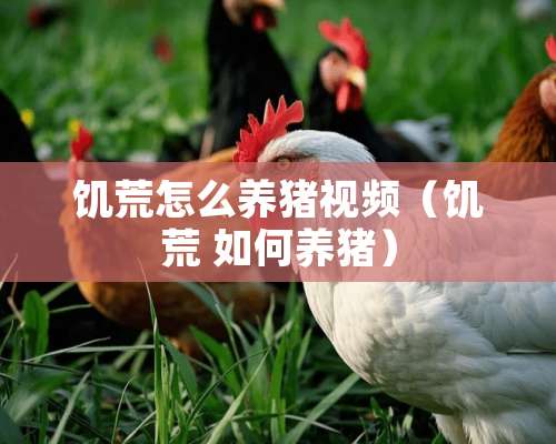 饥荒怎么养猪视频（饥荒 如何养猪）