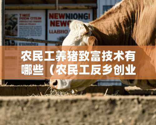 农民工养猪致富技术有哪些（农民工反乡创业养猪有哪些优惠政策）