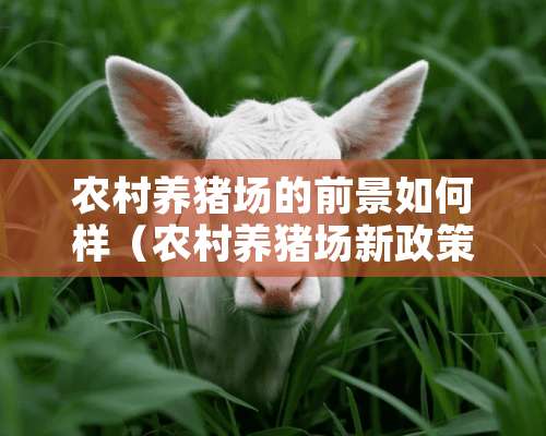 农村养猪场的前景如何样（农村养猪场新政策）