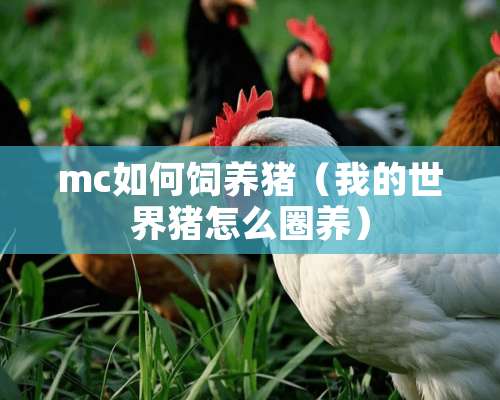 mc如何饲养猪（我的世界猪怎么圈养）