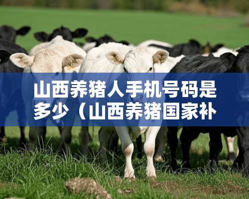 山西养猪人手机号码是多少（山西养猪国家补贴标准2021）