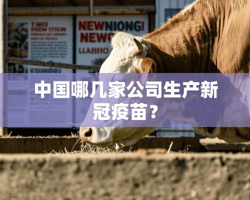 中国哪几家公司生产新冠疫苗？