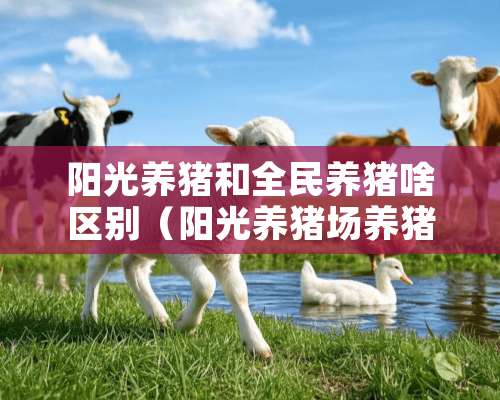 阳光养猪和全民养猪啥区别（阳光养猪场养猪就能赚钱是真的吗）