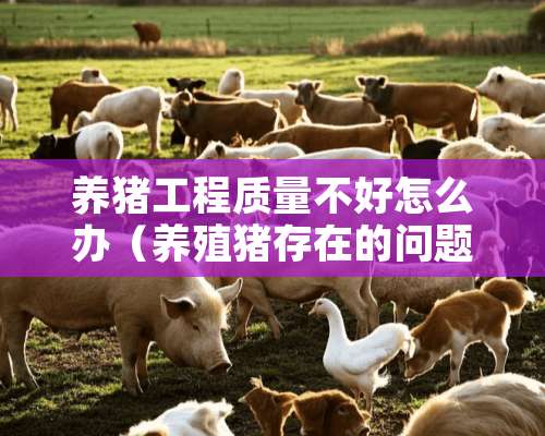 养猪工程质量不好怎么办（养殖猪存在的问题）