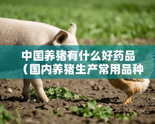 中国养猪有什么好药品（国内养猪生产常用品种有哪些）