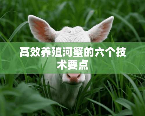 高效养殖河蟹的六个技术要点