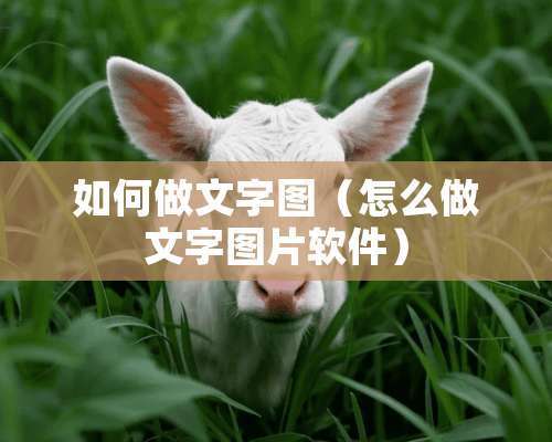 如何做文字图（怎么做文字图片软件）