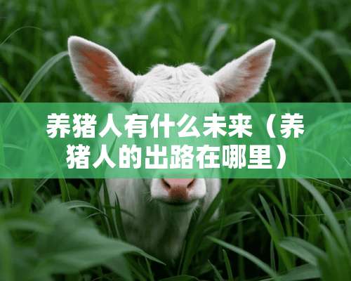 养猪人有什么未来（养猪人的出路在哪里）