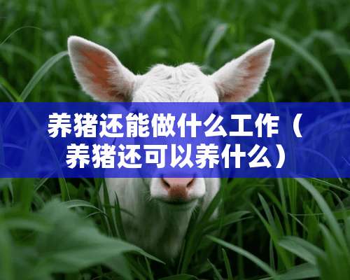 养猪还能做什么工作（养猪还可以养什么）