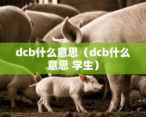 dcb什么意思（dcb什么意思 学生）