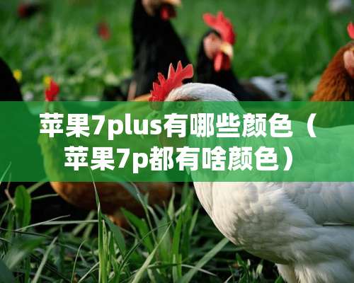 苹果7plus有哪些颜色（苹果7p都有啥颜色）