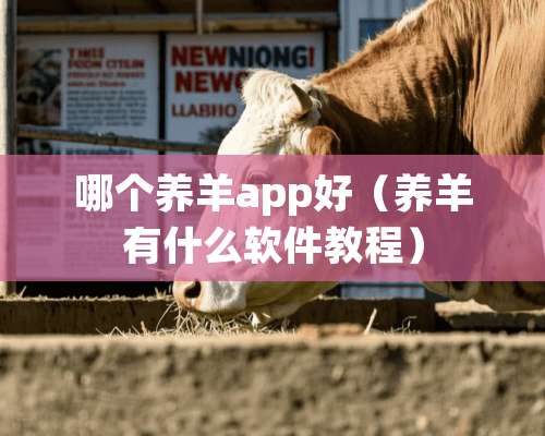 哪个养羊app好（养羊有什么软件教程）