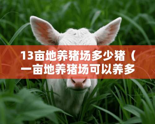 13亩地养猪场多少猪（一亩地养猪场可以养多少头猪）