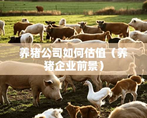 养猪公司如何估值（养猪企业前景）