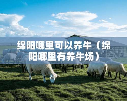 绵阳哪里可以养牛（绵阳哪里有养牛场）