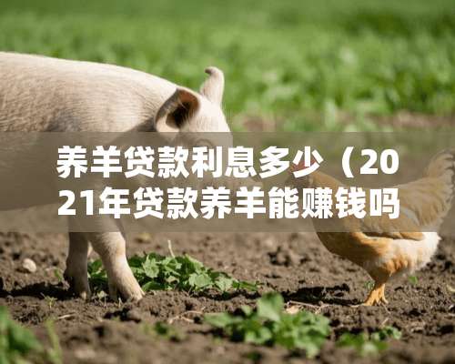 养羊贷款利息多少（2021年贷款养羊能赚钱吗）