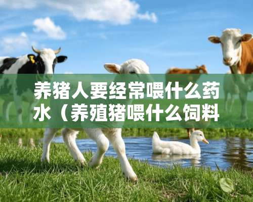 养猪人要经常喂什么药水（养殖猪喂什么饲料）